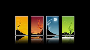 four assorted-color wall decors, collage, nature, digital art