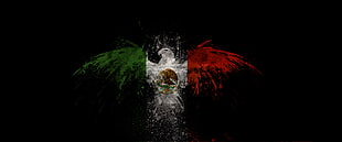 red, white, and red eagle illustration, Mexico, flag, eagle, digital art