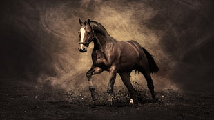 brown horse digital wallpaper, horse, nature, brown HD wallpaper