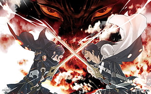 Nintendo 3DS game poster, Fire Emblem, Lucina, sword