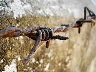 shallow focus photography of brown steel fence