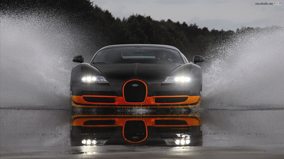 black and orange luxury car, car, Bugatti Veyron, water, vehicle HD wallpaper