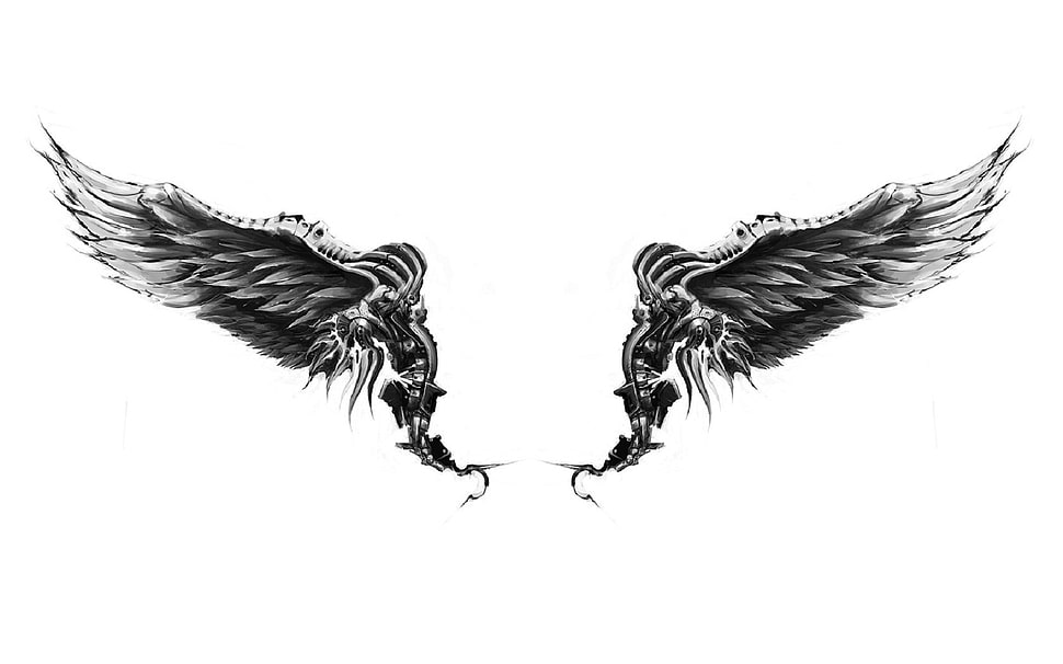 angels illustration, wings, white background HD wallpaper
