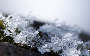 Frost,  Snowflakes,  Macro,  Crystals HD wallpaper