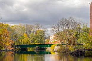 green  bridge on body of water photo, dorchester HD wallpaper