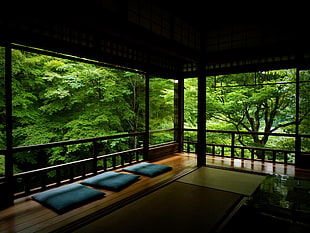 brown wooden terrace near green forest