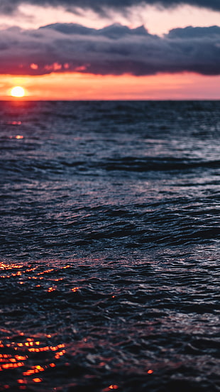 body of water, sunset, landscape, water HD wallpaper