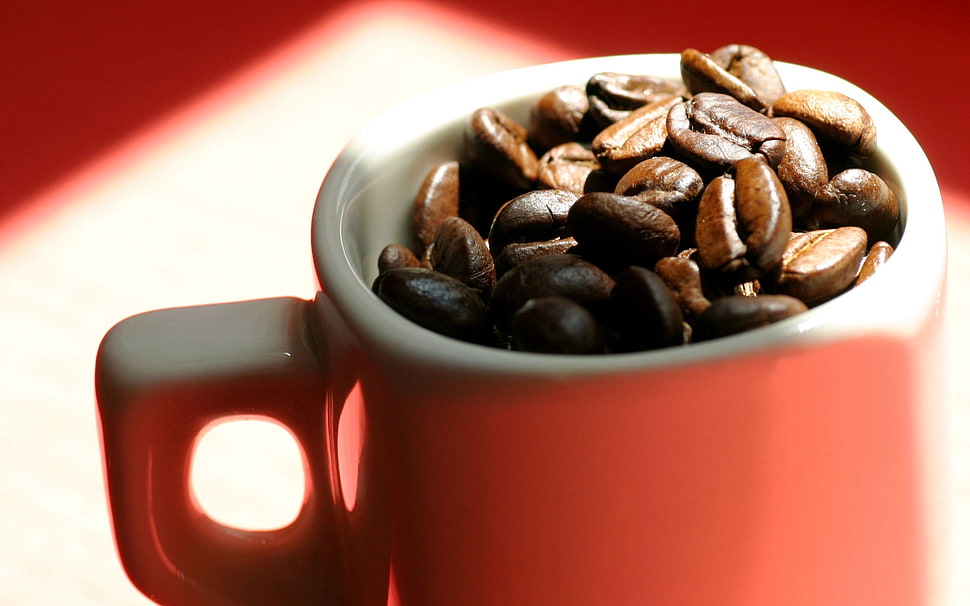 coffee beans in red ceramic mug HD wallpaper