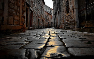 gray bricked road between buildings, urban, street, worm's eye view, cobblestone