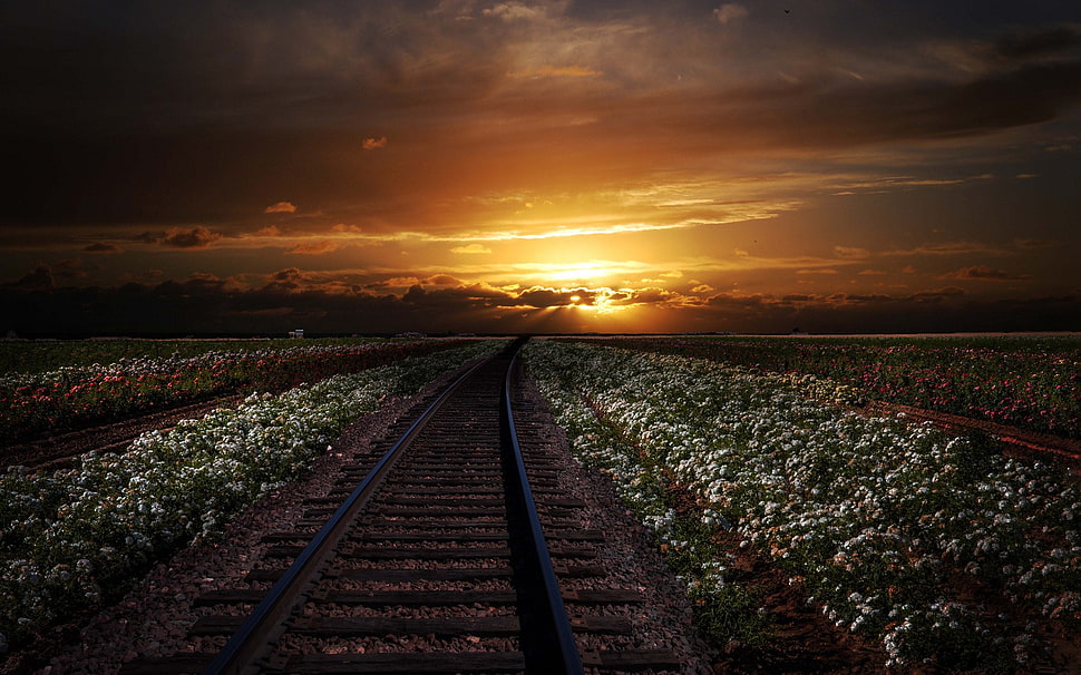 train railway, nature HD wallpaper