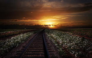 train railway, nature HD wallpaper