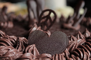 close up photo of chocolate cake