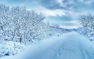 winter weather photograph HD wallpaper