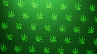cannabis plant illustration