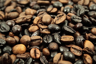 brown and black coffee beans