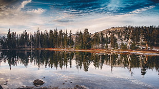 green leafed pine tree lot, mountains, clouds, lake, reflection
