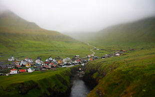 houses on green grassland during daytime