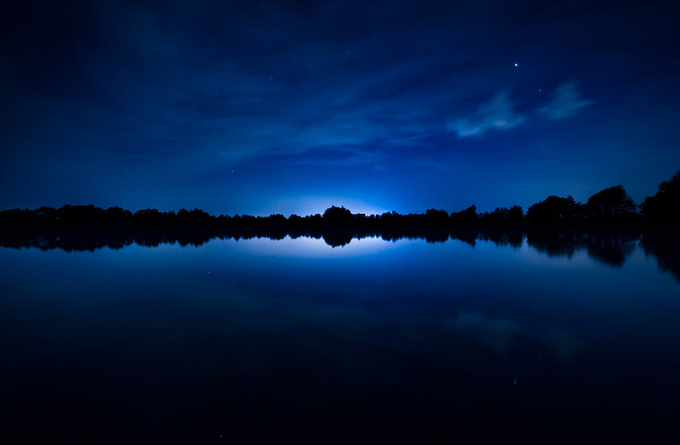 reflection photography of tree during nighttime HD wallpaper