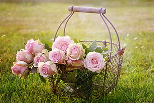 pink and white flowers on black steel basket photo during day time