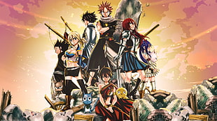 Fairy Tail anime characters illustration