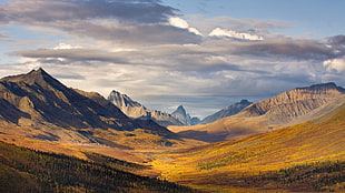 landscape photo of mountains, nature, landscape