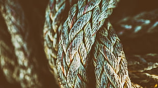 brown rope, photography, closeup, ropes, texture
