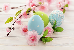 closeup photo of one green and two blue eggs with flowers