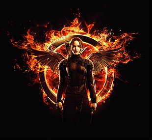 The Hunger Games Mocking Jay wallpaper