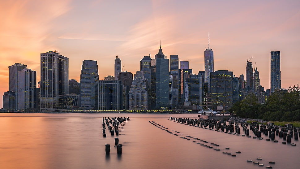 gray concrete skyscrapers, city, water HD wallpaper