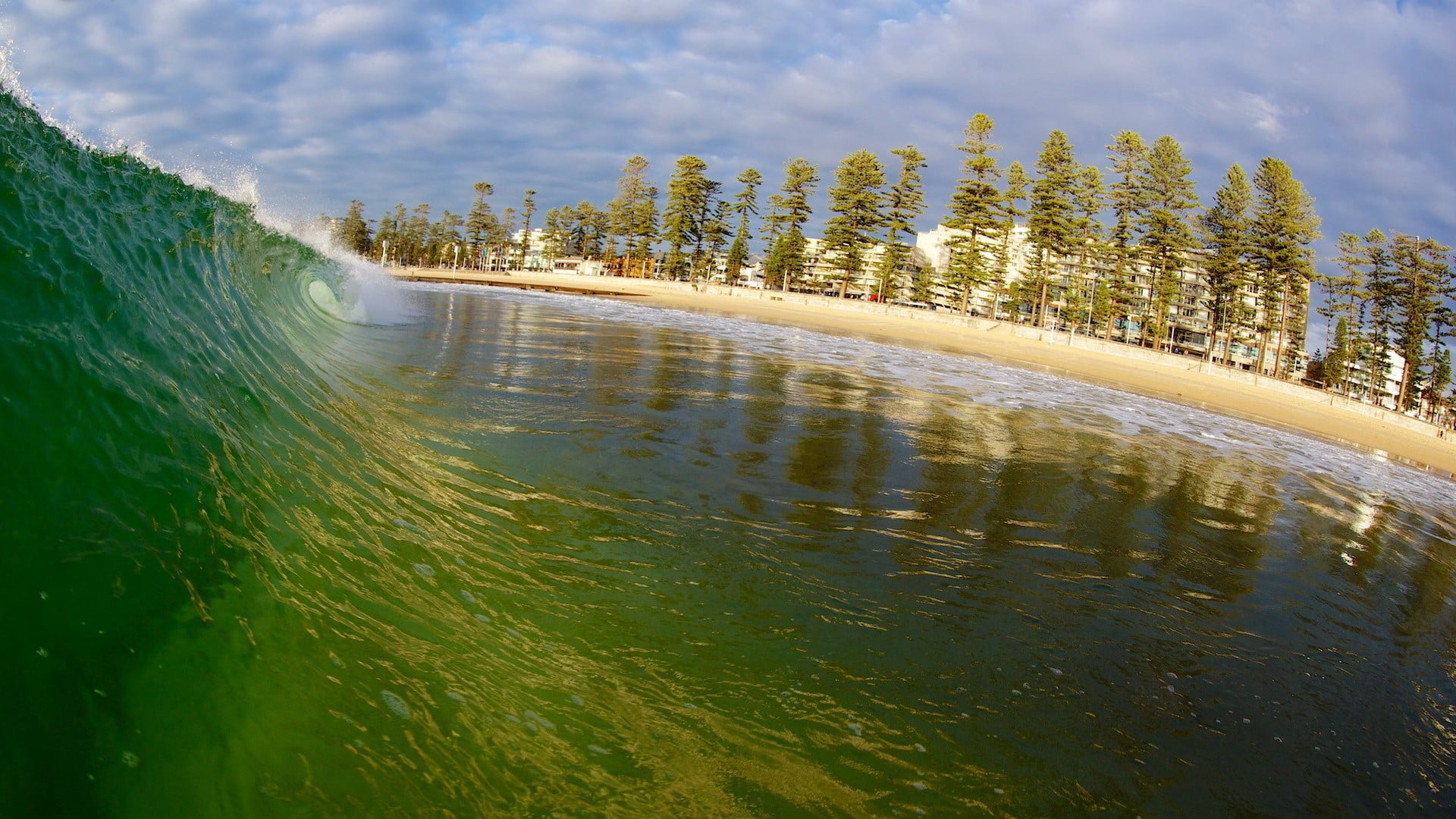 sea wave, nature, waves, sea, surfing