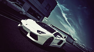 white Lamborghini Aventador coupe, Lamborghini, car, sports car, white cars