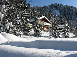 wooden house during winter and day