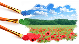 red flowers painting, clouds, sky, forest, field