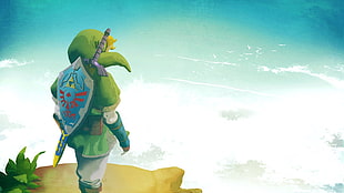 Link standing on brown hill
