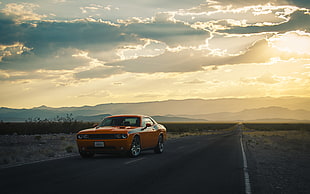 orange muscle car in rule of thirds photography HD wallpaper