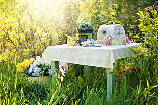 green table with white table cloth in the middle of a grassy garden during adda