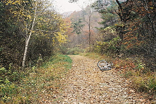 bicycle parked on side of road