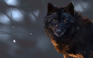 black wolf artwork, wolf HD wallpaper