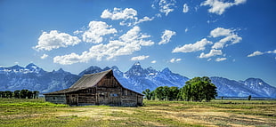 brown wooden house on middle of green grasses photo during daytime, wyoming