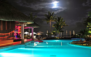 swimming pool, swimming pool, night, palm trees, water HD wallpaper
