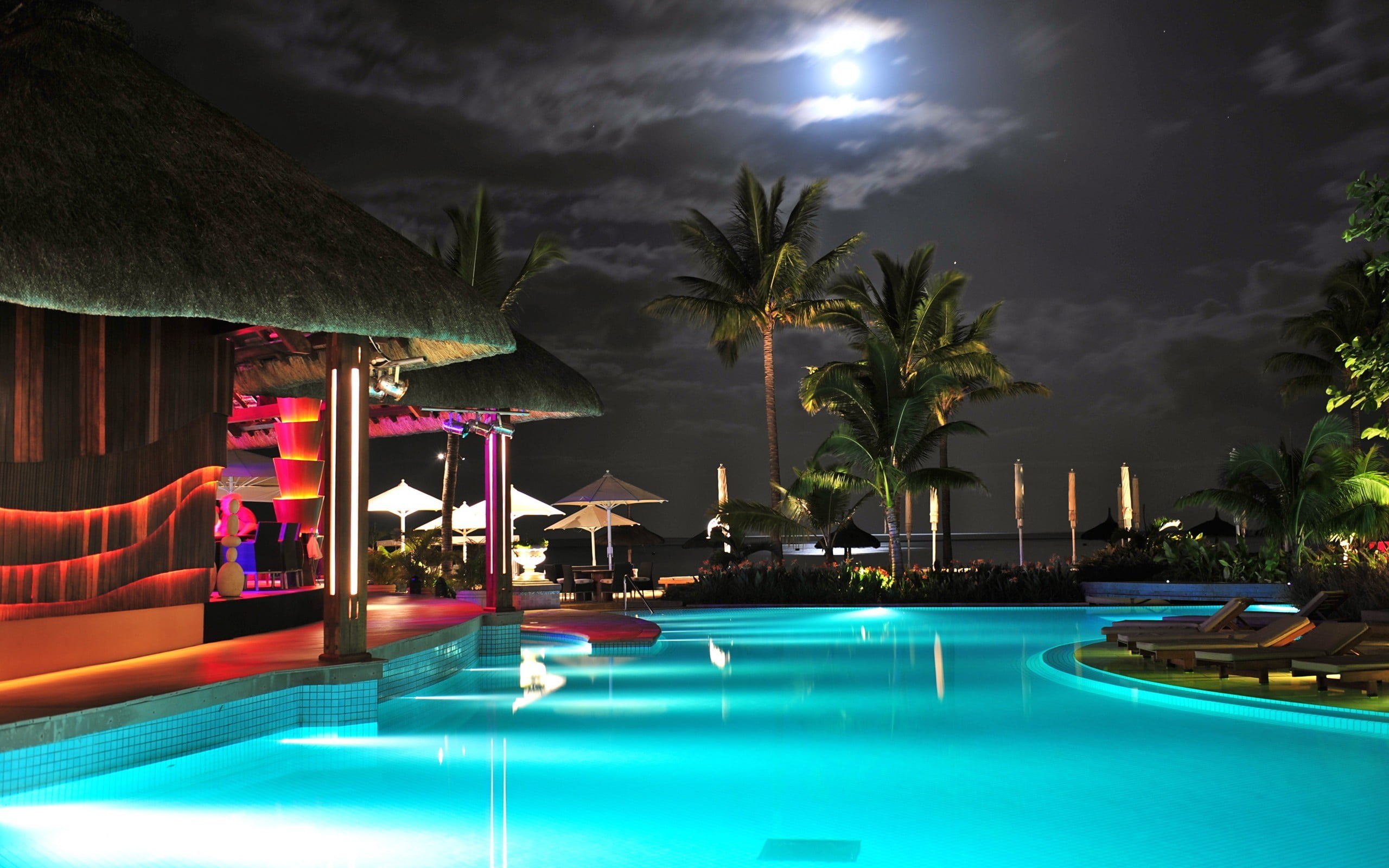 swimming pool, swimming pool, night, palm trees, water