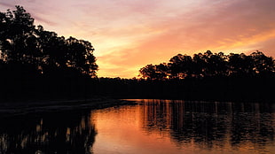 body of water and trees, landscape, sunset, water, sky