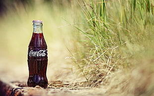 Coca-cola soda bottle