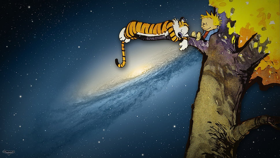 tiger and boy on tree illustration HD wallpaper