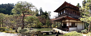 white and brown wooden house, Japanese Garden, garden HD wallpaper