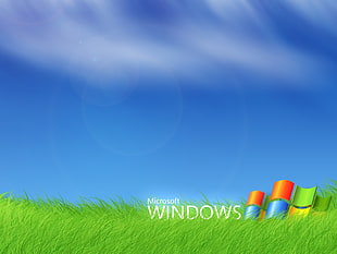 Microsoft Windows 7 wallpaper