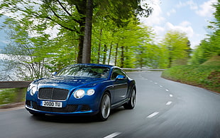 blue Bentley Continental coupe on road at daytime HD wallpaper