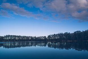blue ocean, River, Lake, Trees