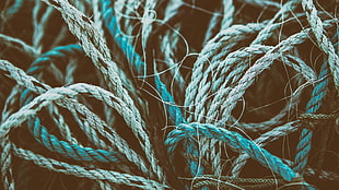green, black, and gray ropes digital wallpaper, photography, closeup, ropes, texture
