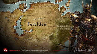 Dragon Age digital wallpaper